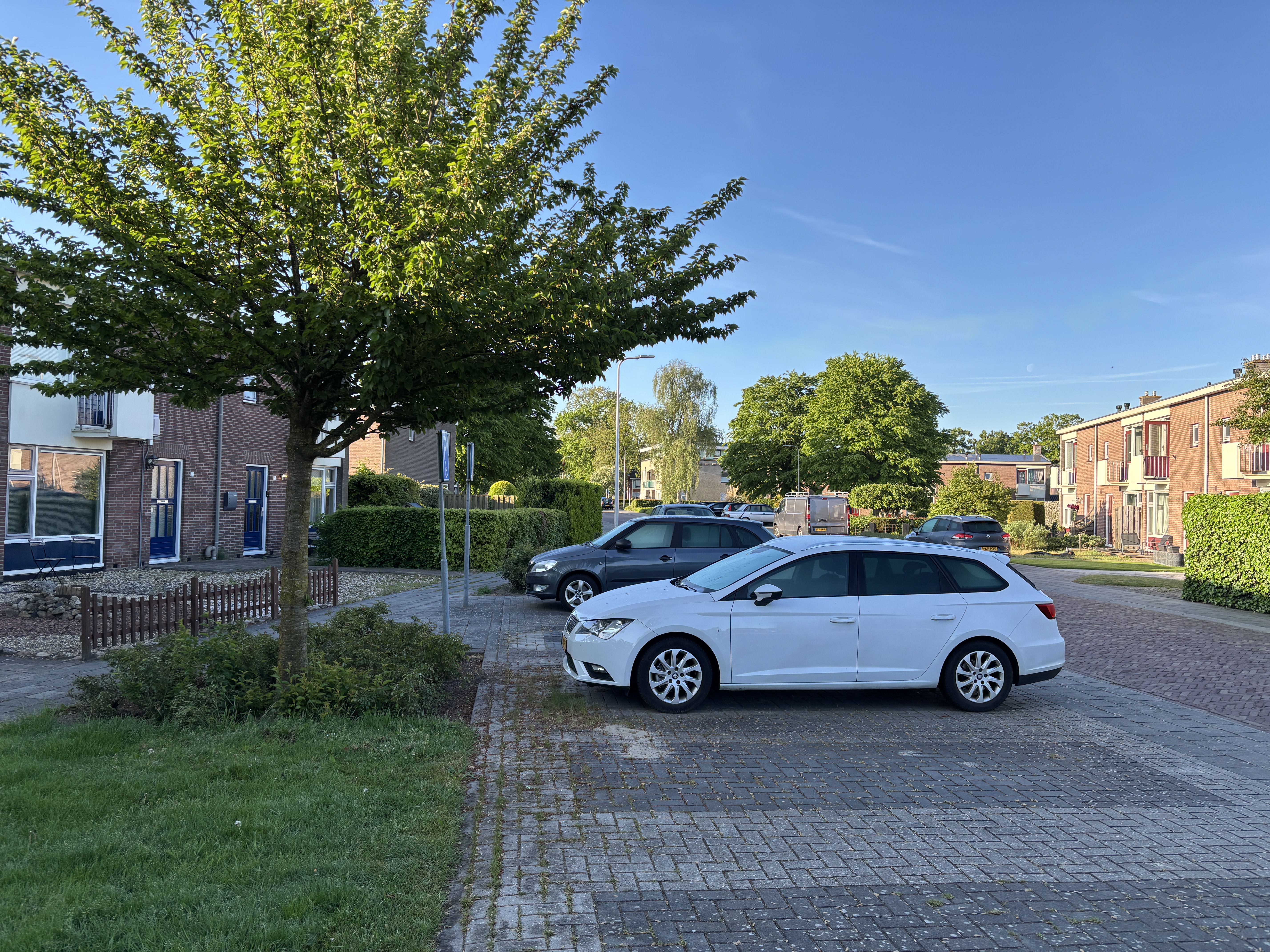 Wilhelminastraat 31