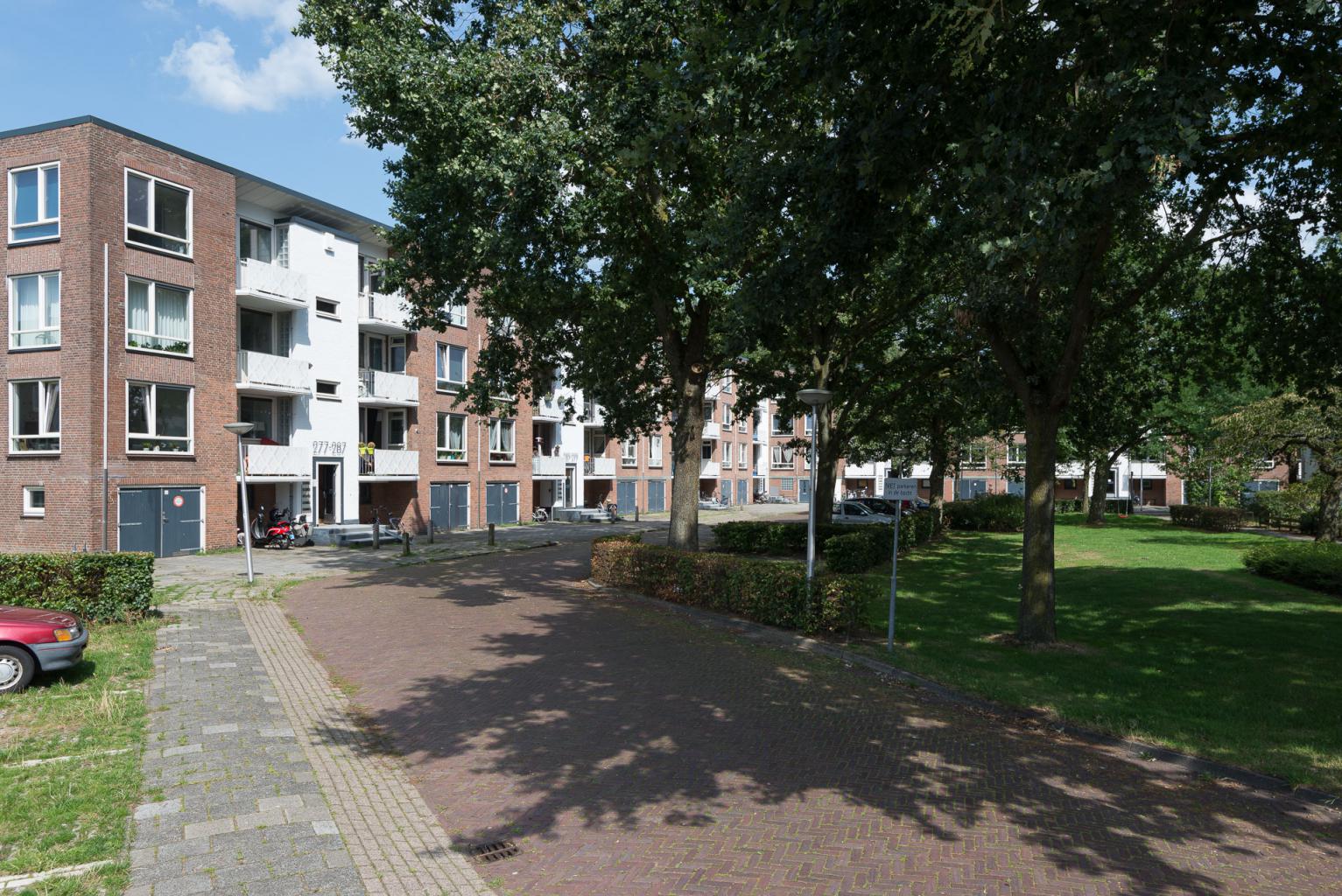 Pieter Steynstraat 329, 8022 TL Zwolle, Nederland