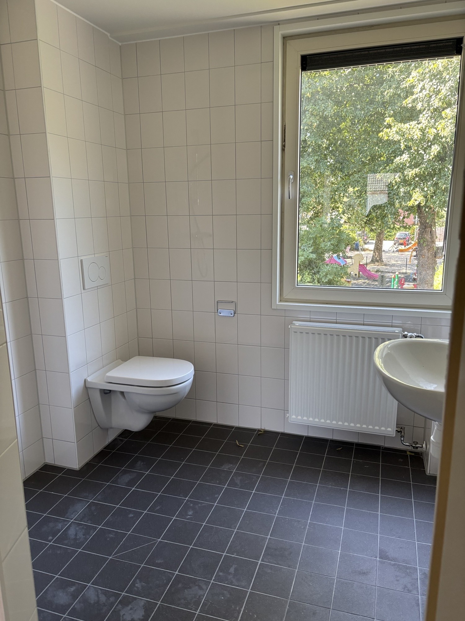 Tormentil 57