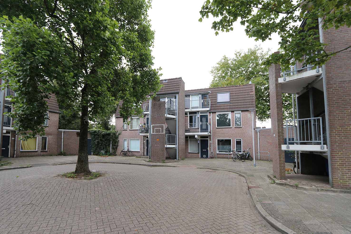 Moerbeistraat 44, 8021 ZD Zwolle, Nederland