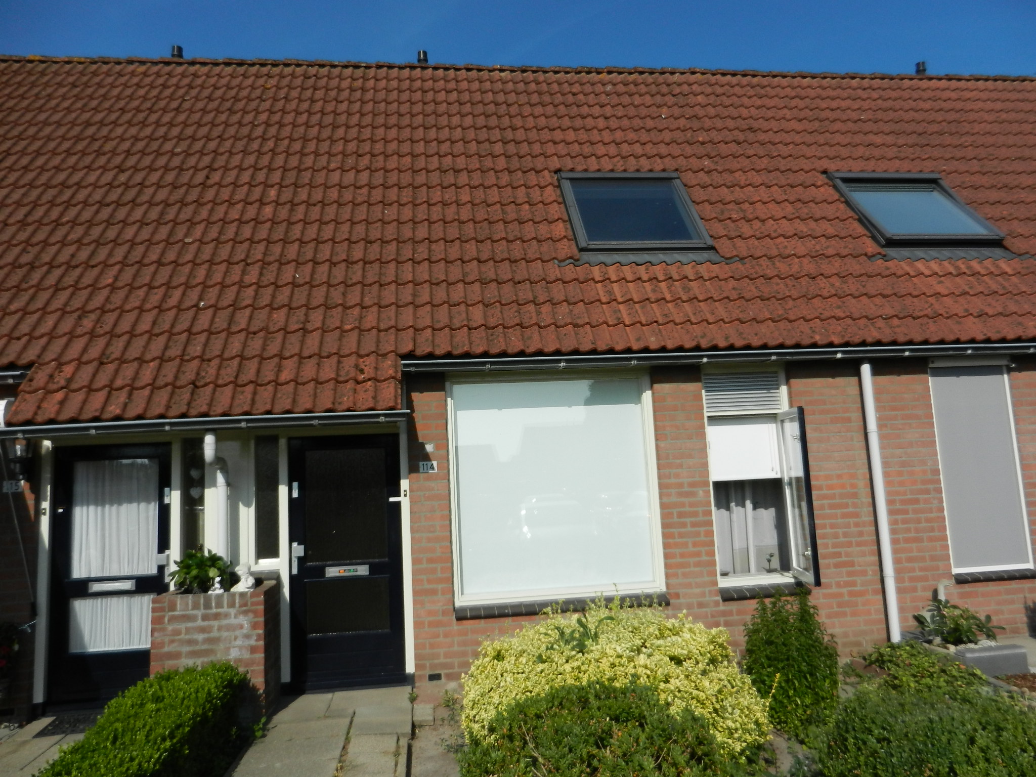 Rietgors 114