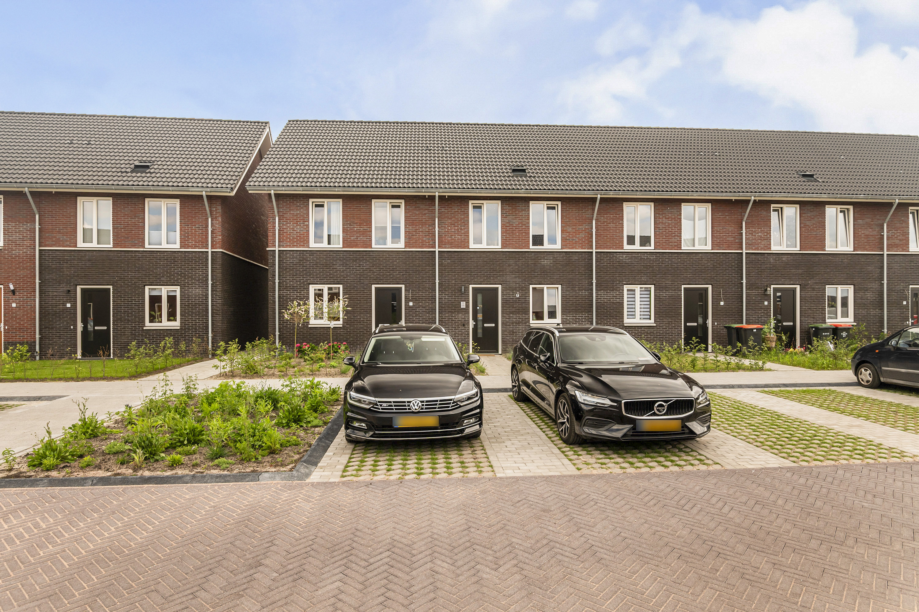 koekoeksbloem 39