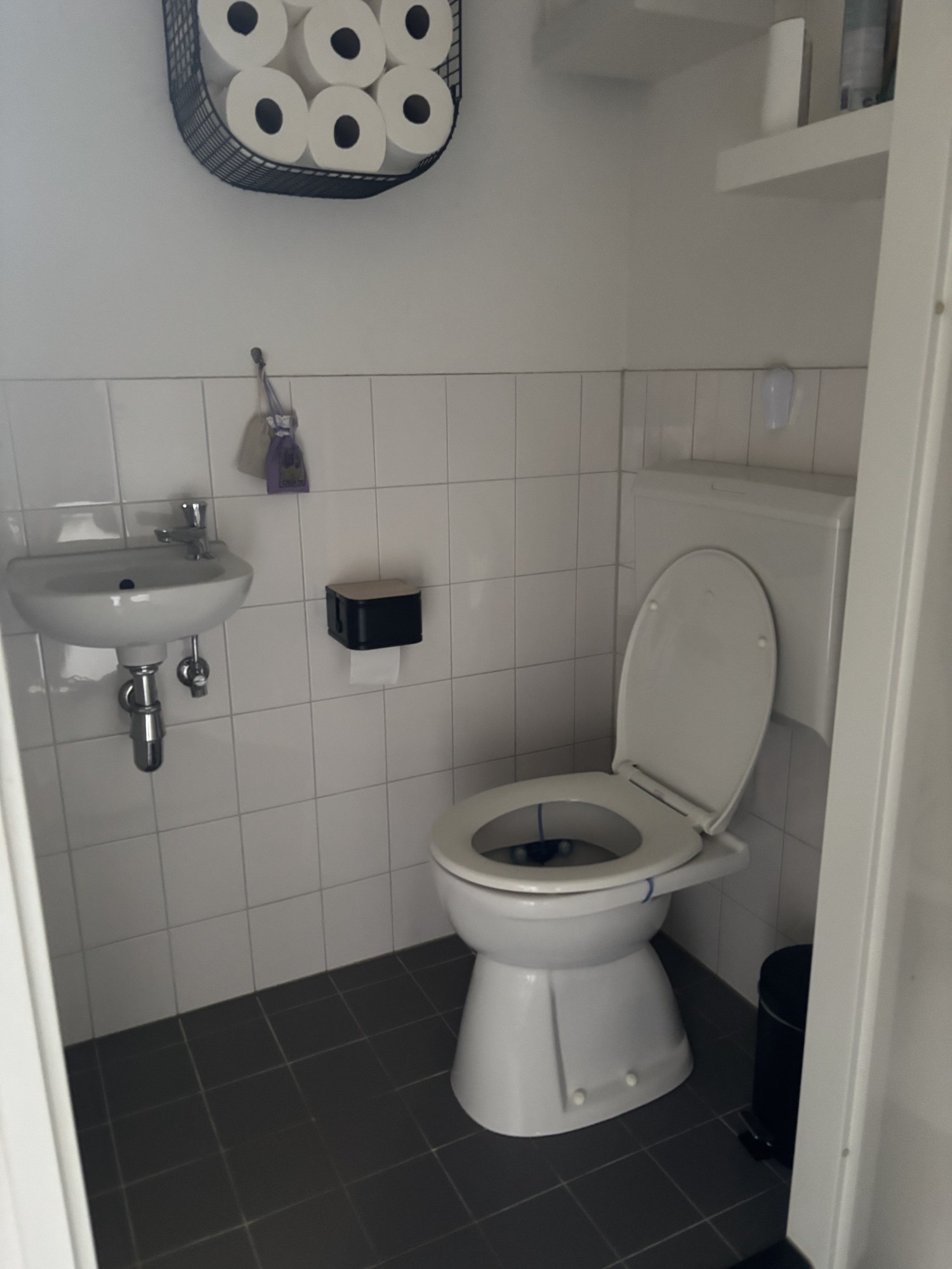 Schietwilg 1