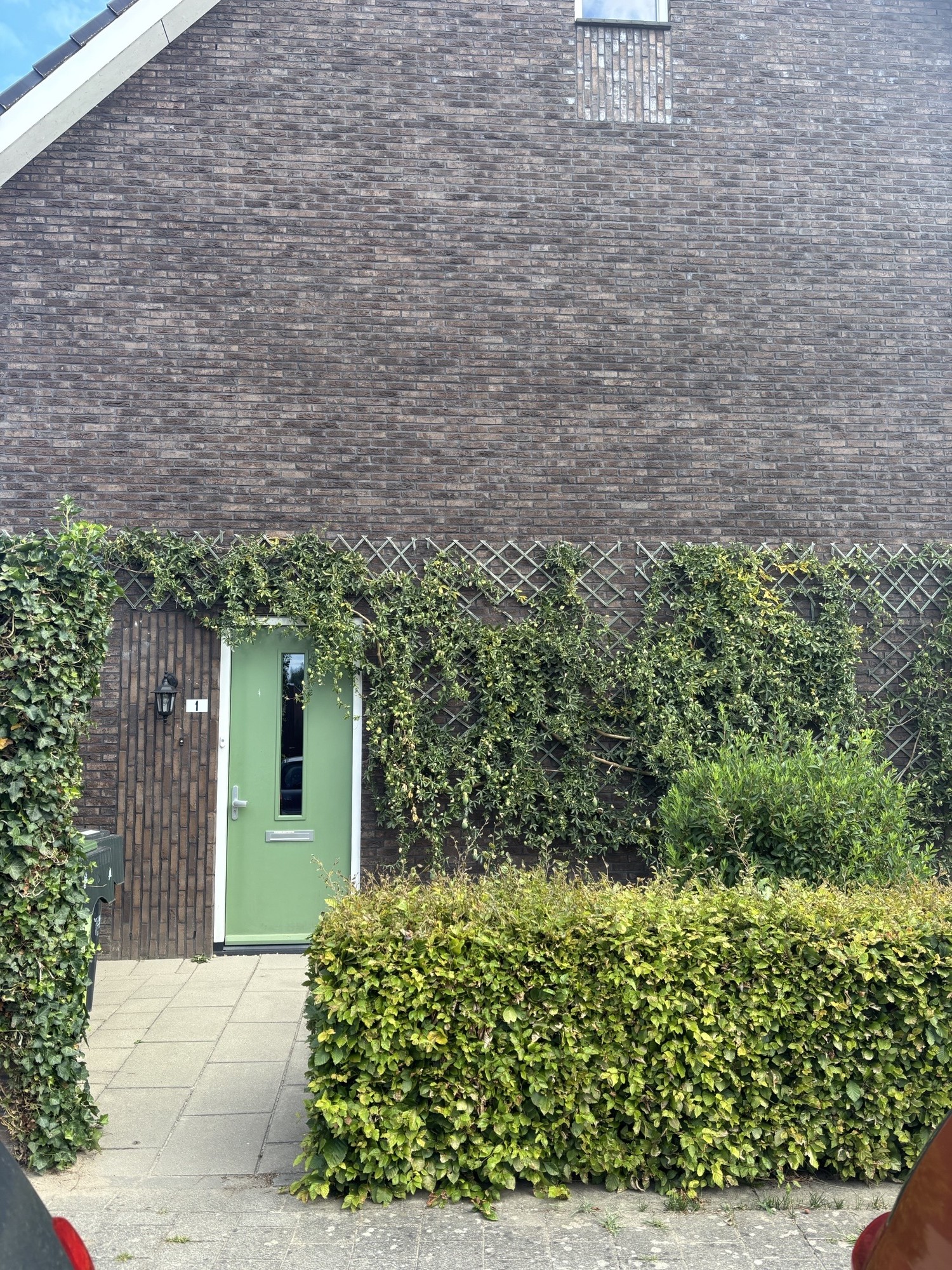 Schietwilg 1