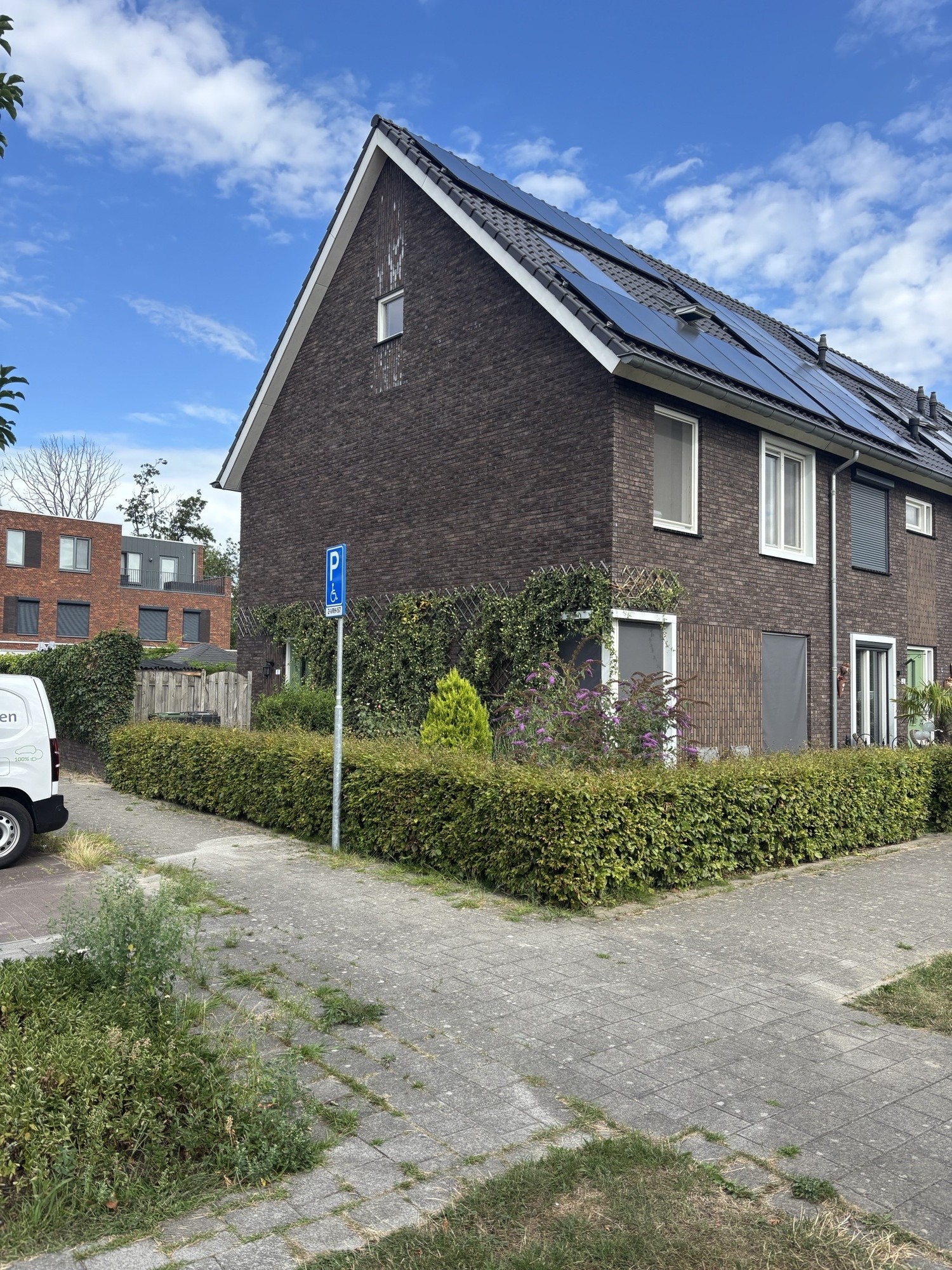 Schietwilg 1