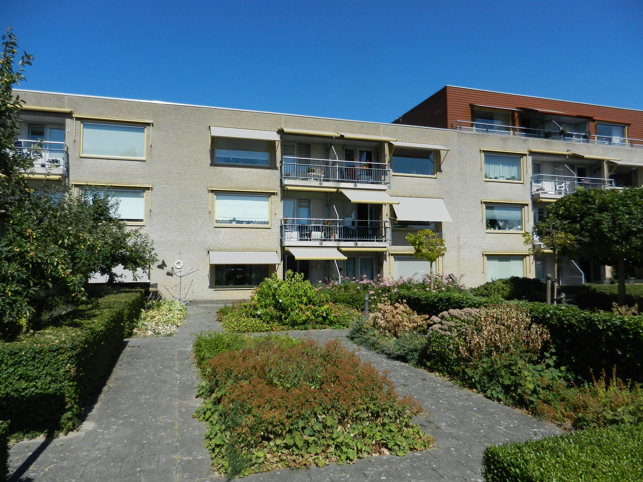 Schepenenstraat 11