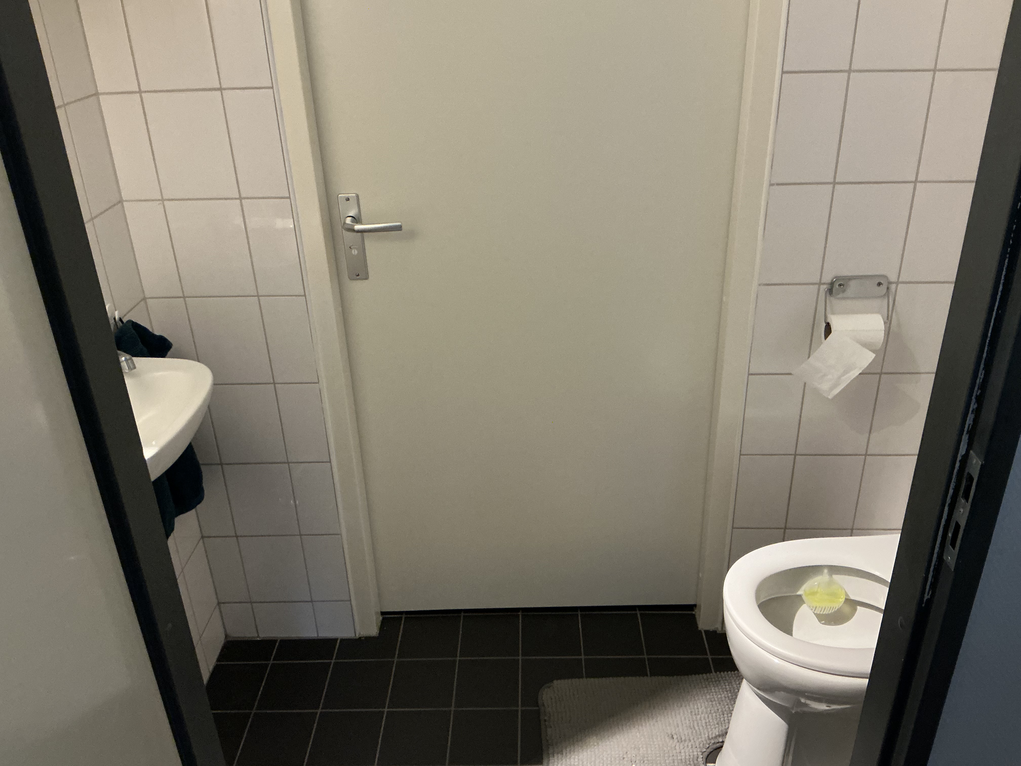 Kattedoorn 26