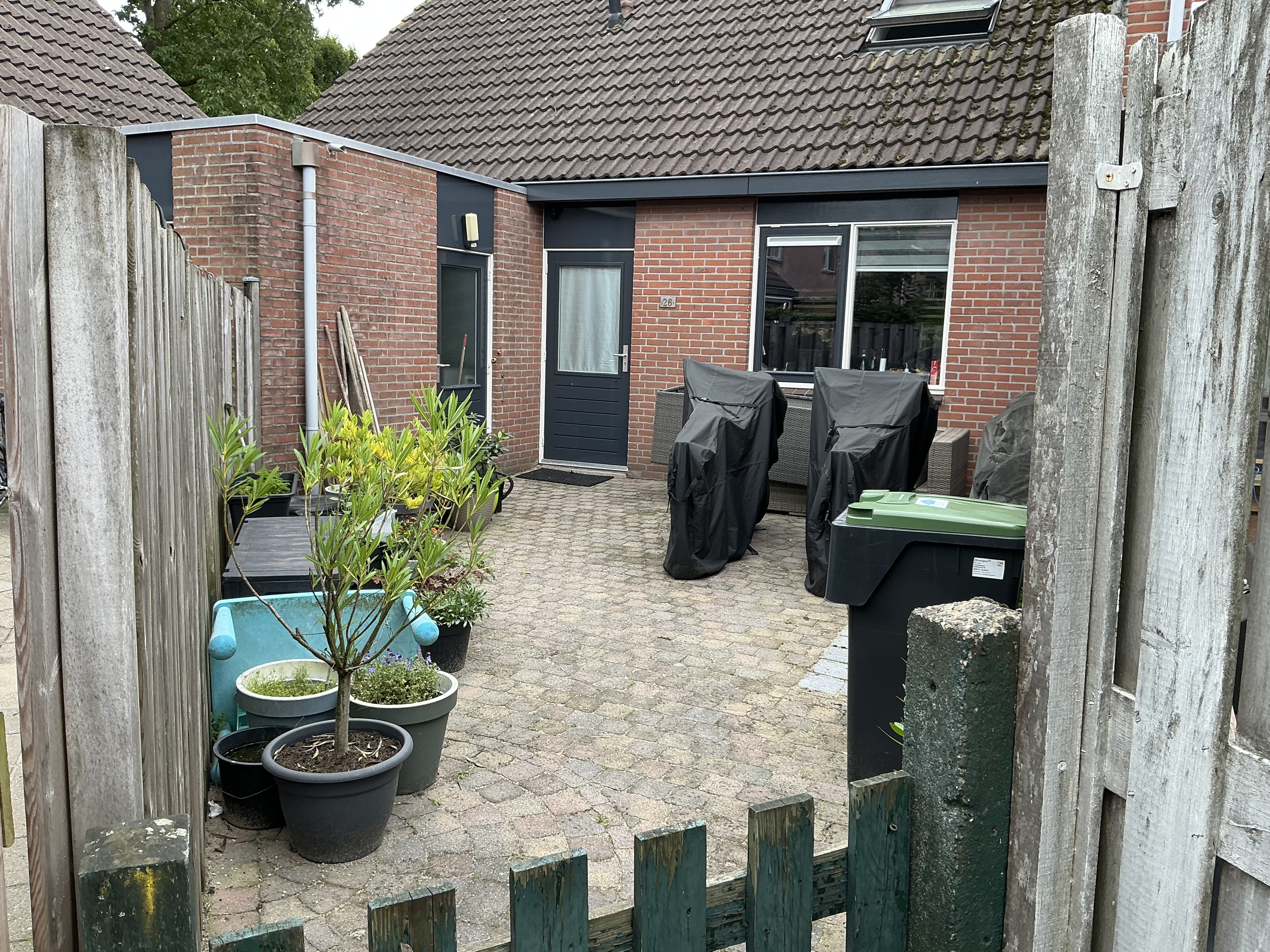 Kattedoorn 26