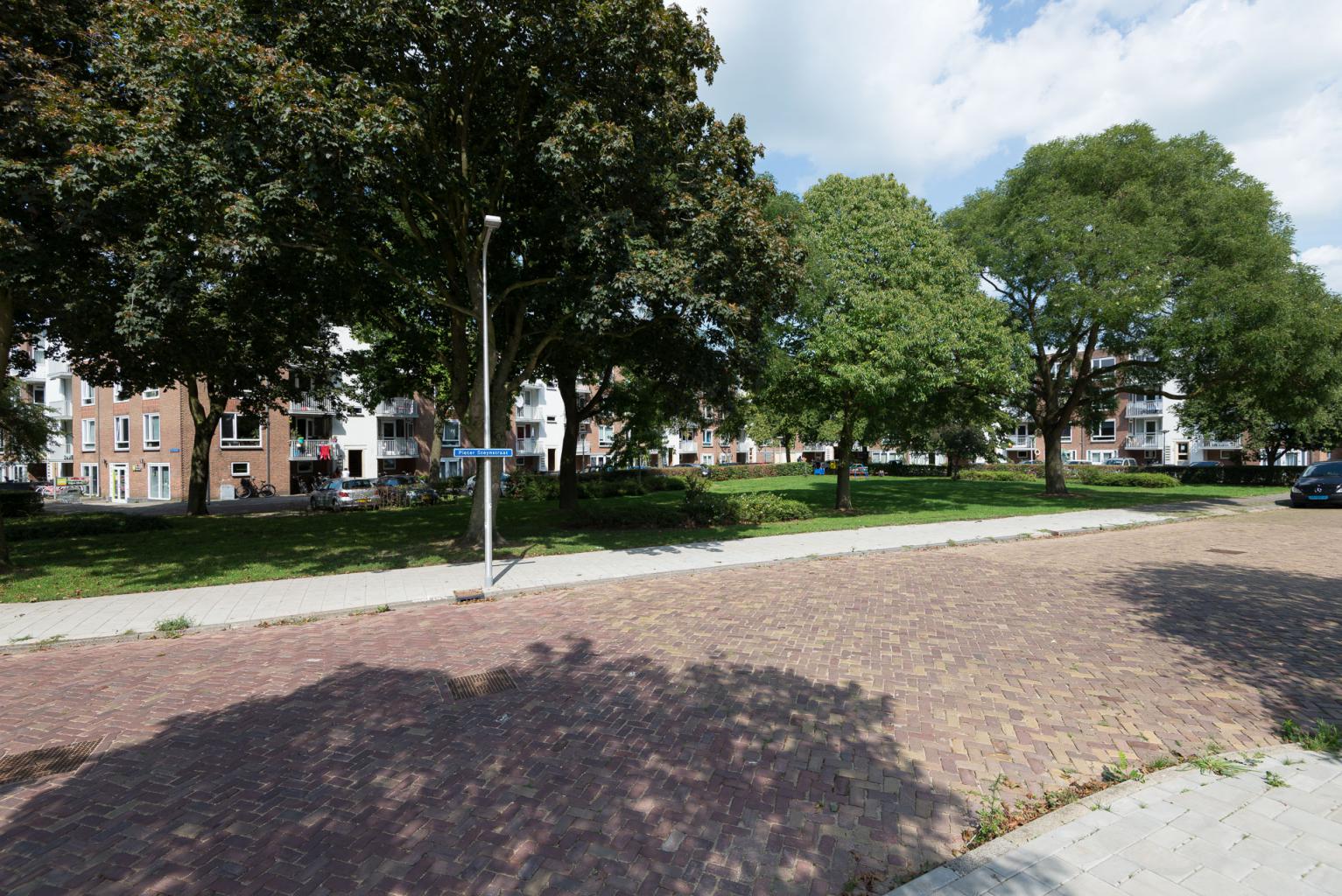 Pieter Steynstraat 101